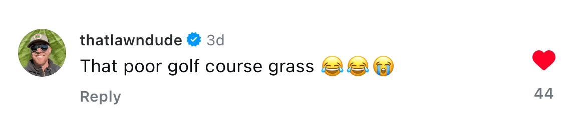 Comment 6